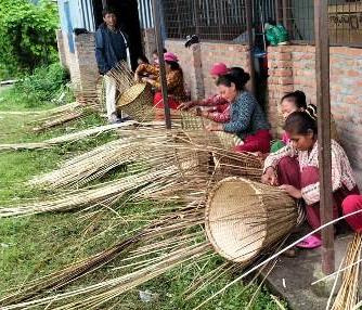 Empowering Women Through Forest Solutions: A Path to Economic Resilience in Nepal